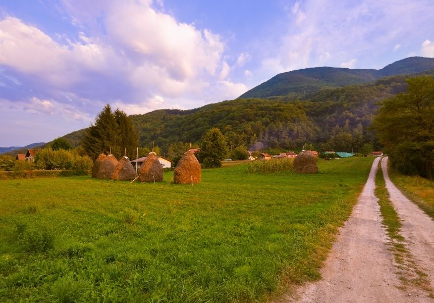 Baza povratnika iz dijaspore – podrška za povratak, pokretanje posla i uključivanje u turizam i poljoprivredu u Srbiji